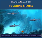 rounding sharks 
